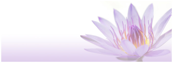 lotus-header.jpg